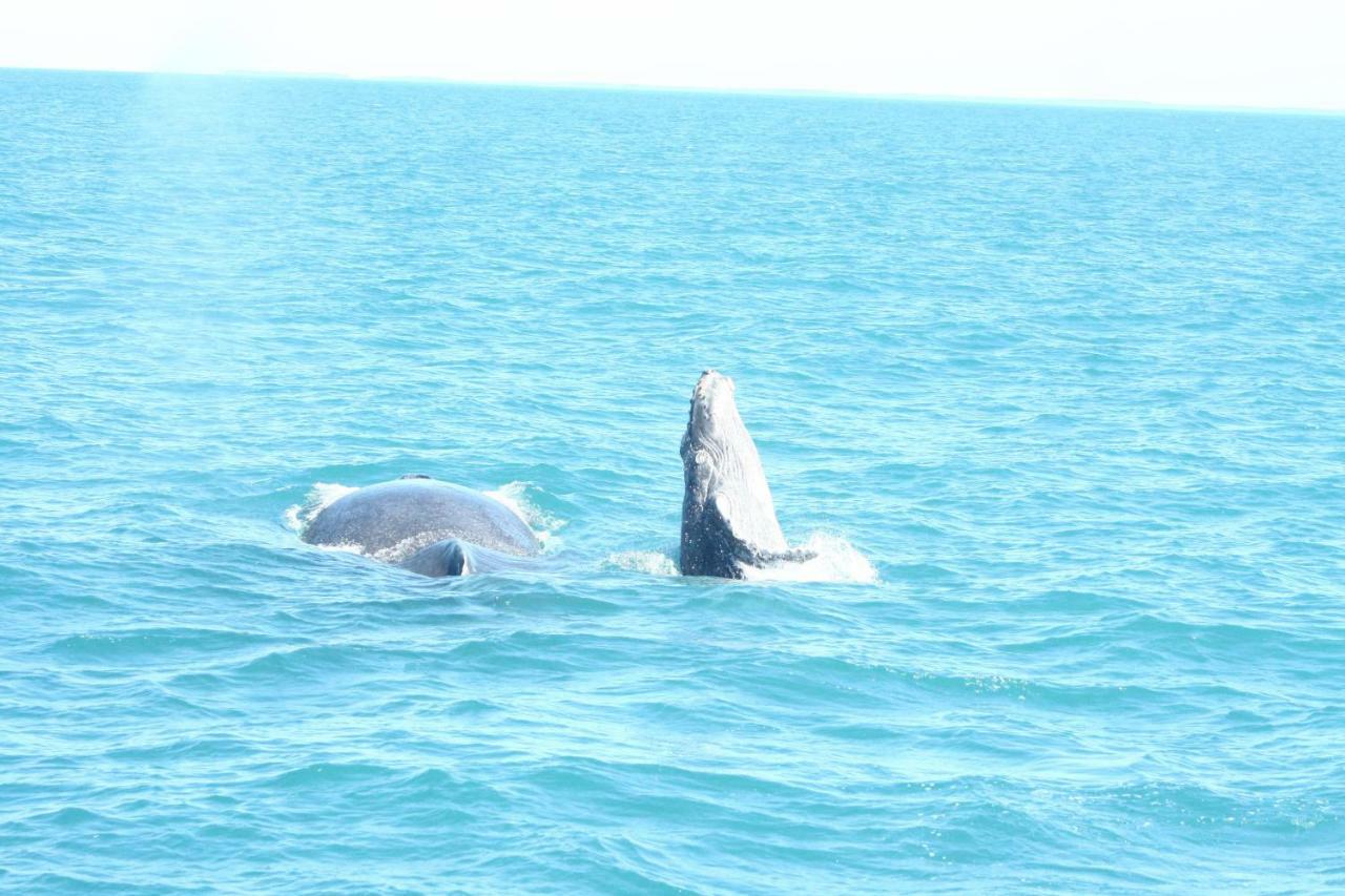 Pousada Areia Preta クムルサティバ エクステリア 写真